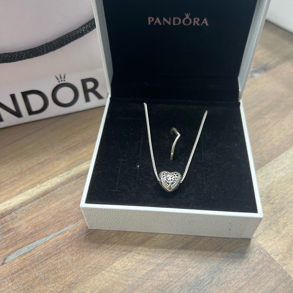 Pandora Necklace with Wishbone Ring